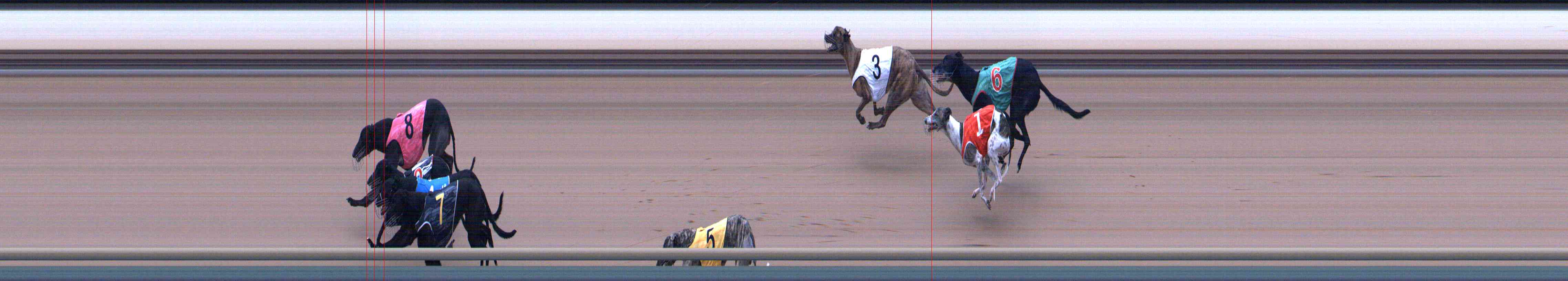 Race result finish photo